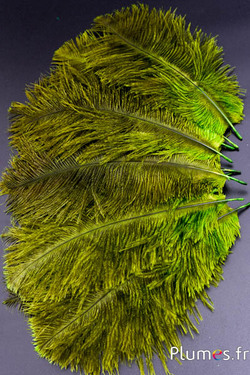 Autruche - 13-18 cm - lime-gris
